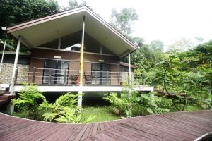 Your home under the rainforest canopy